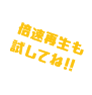 倍速再生も 試してね!!