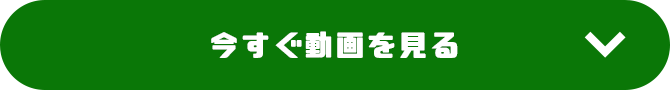 今すぐ動画を見る